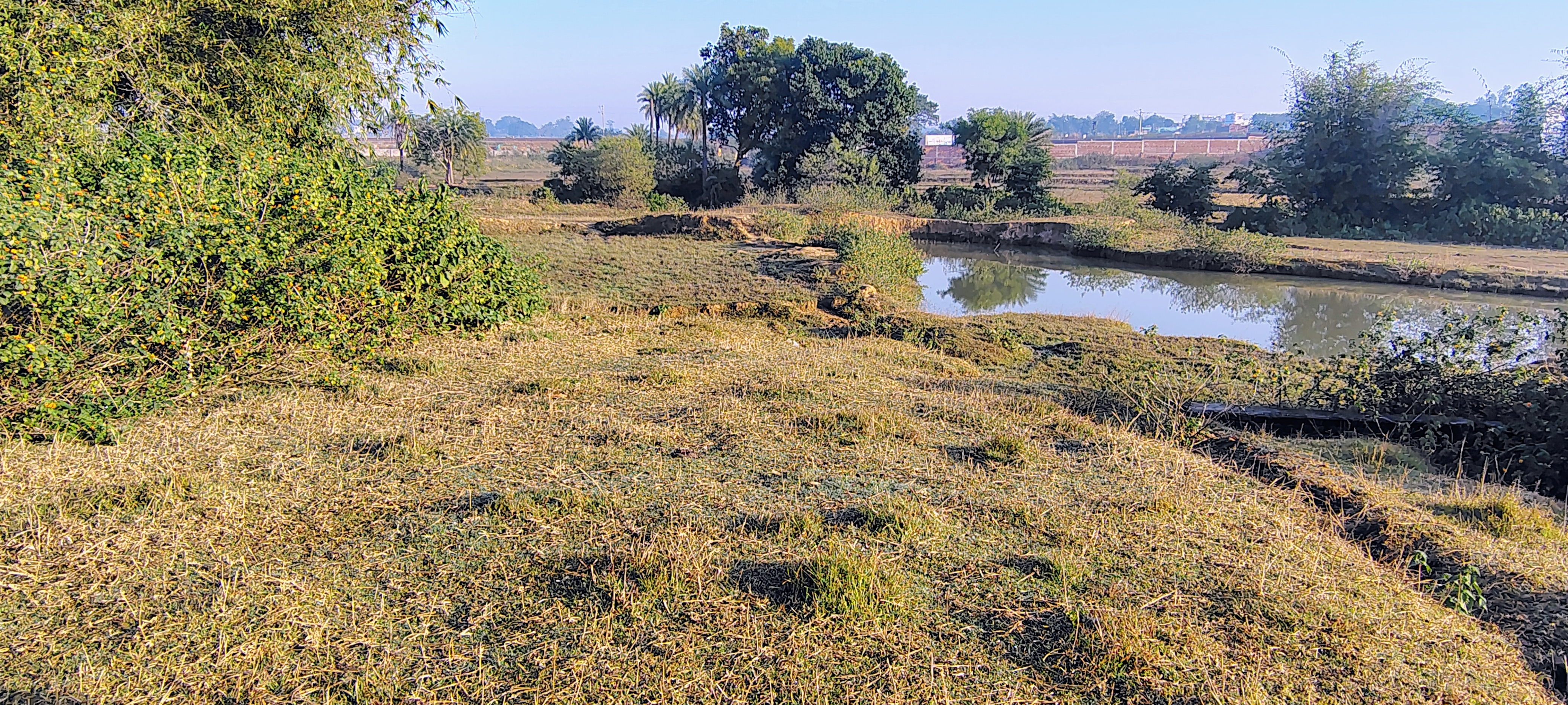 Plot for sale near Giridih college college mode 