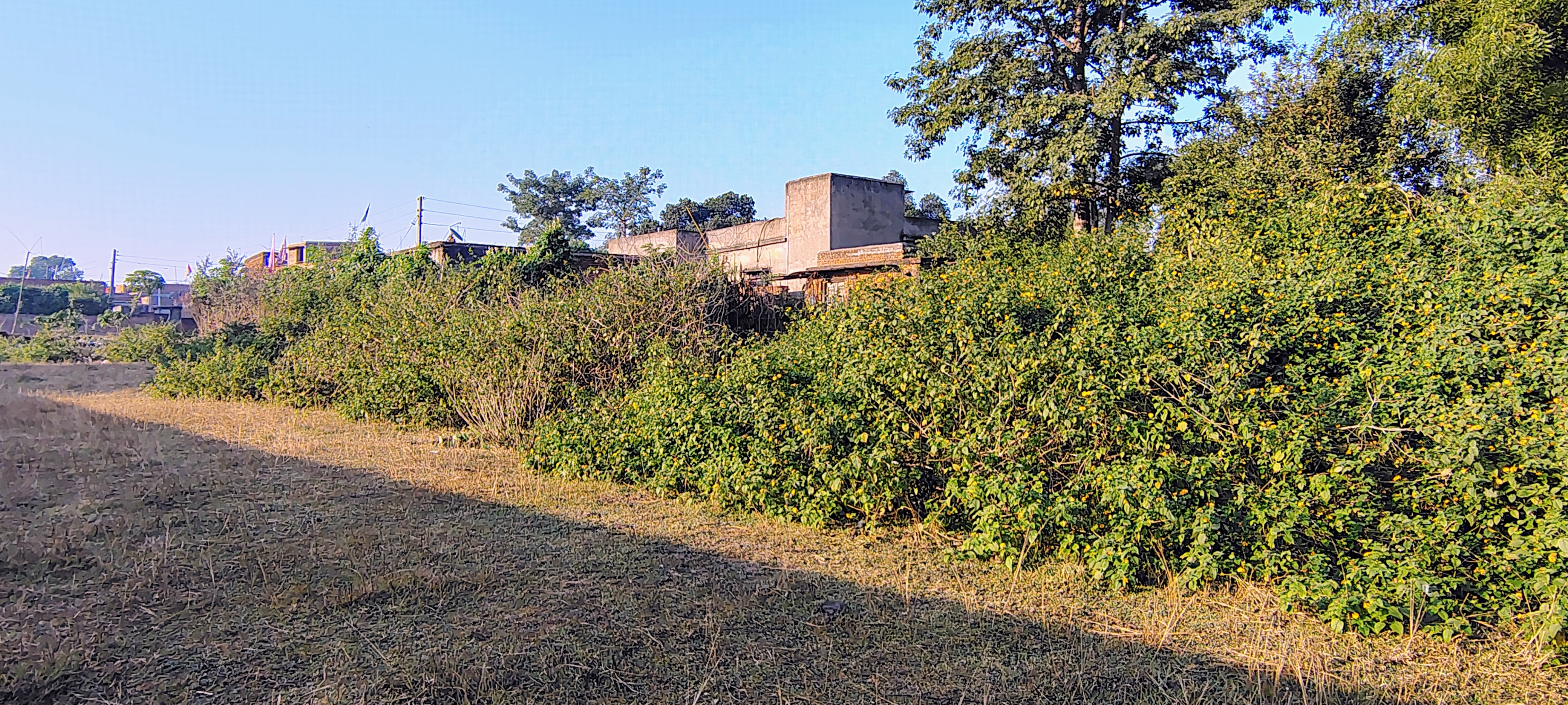 Plot for sale near Giridih college college mode 