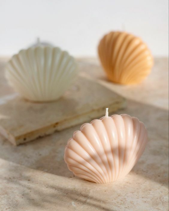 Bougie coquille
