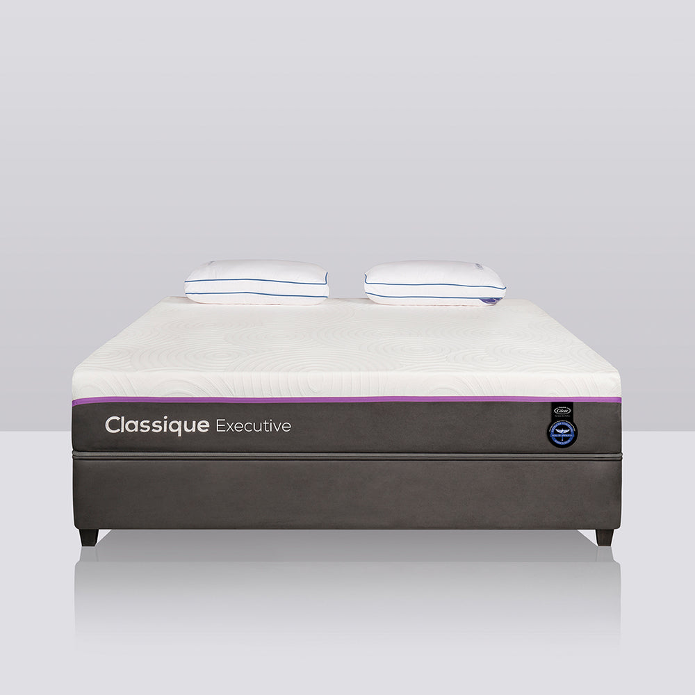 Classique Executive 2in1