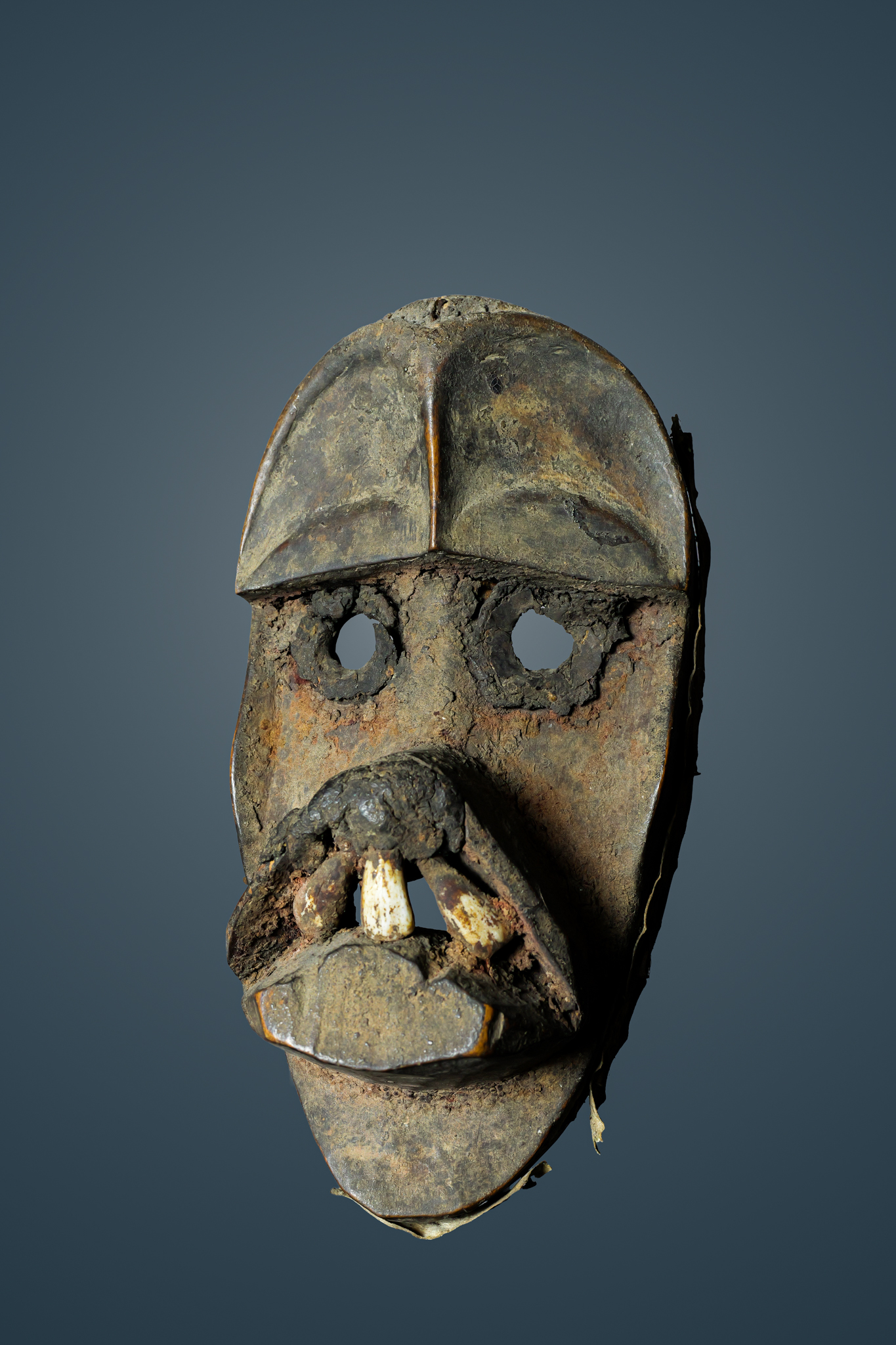 BUGLE / GAOGLE