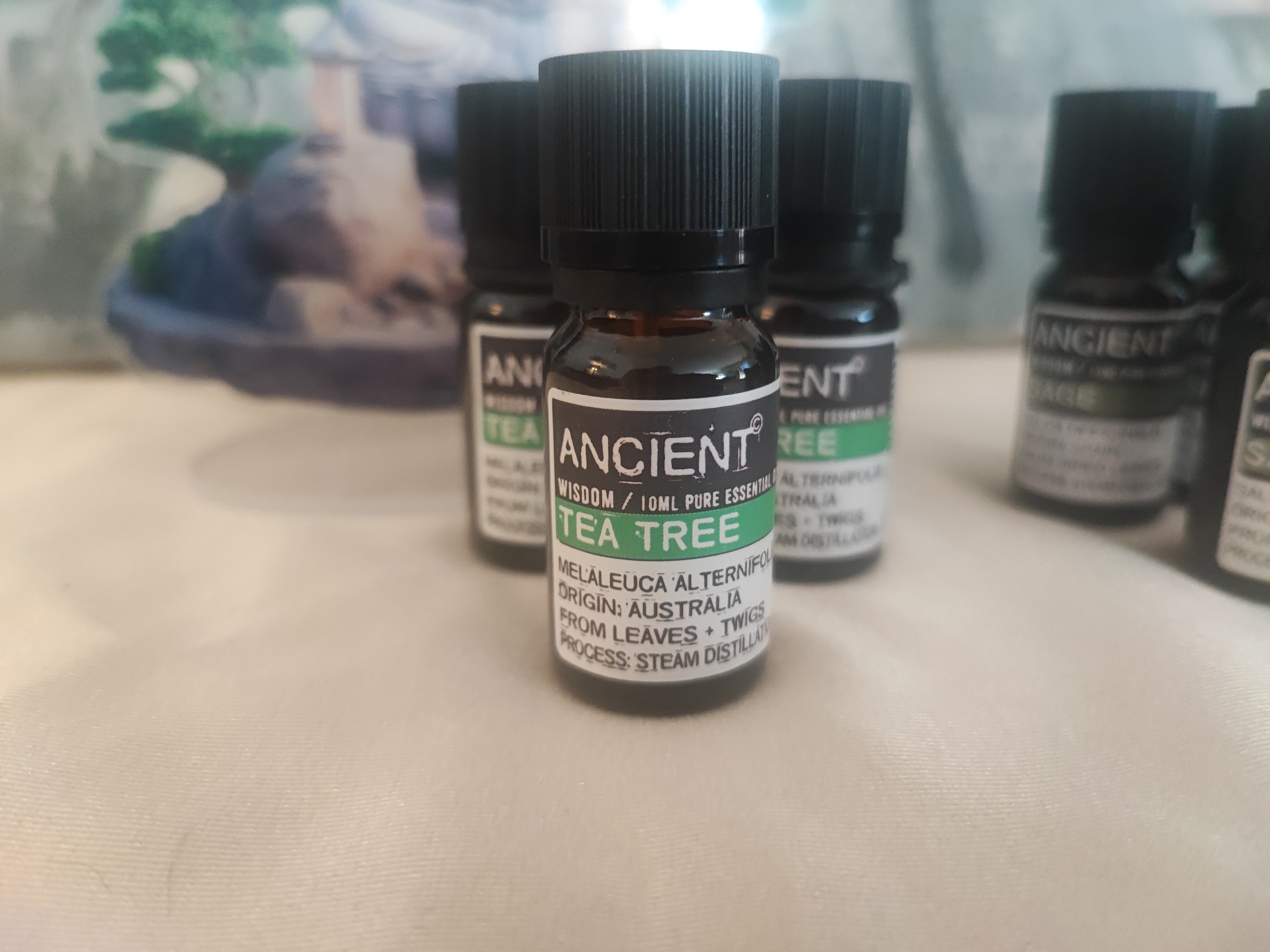 Huile Essentielle 10ml "Arbre à Thé"