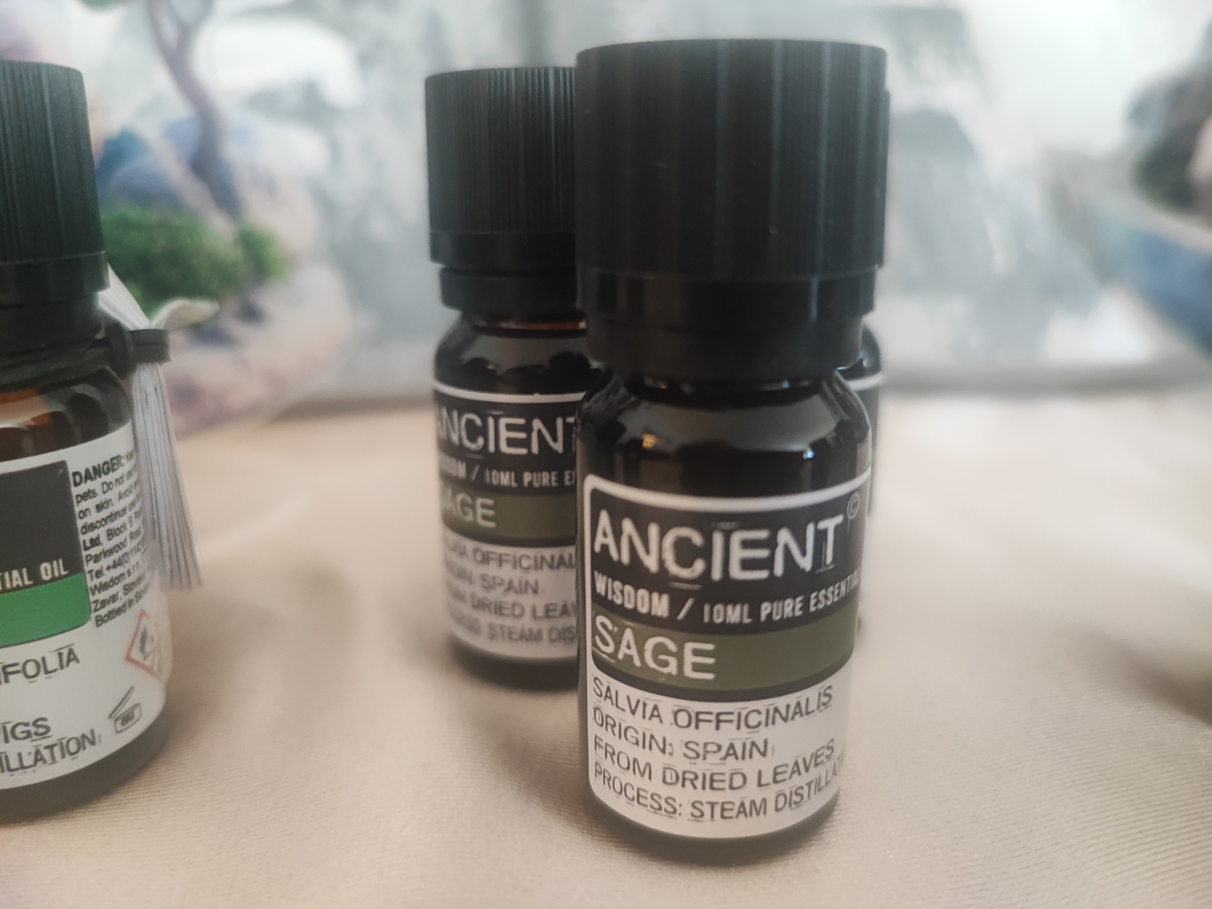 Huile Essentielle 10ml "Sauge"