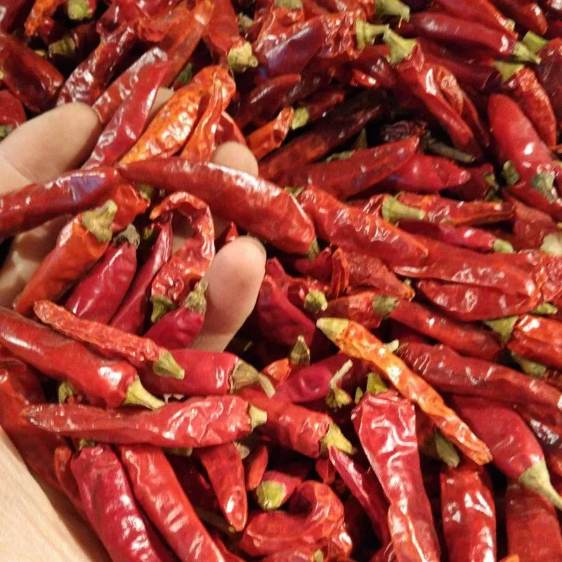 Sannam Red Chilli - 334