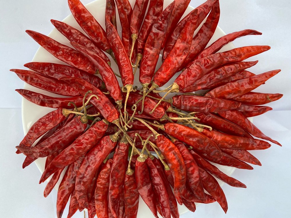 Sannam Red Chilli - S4