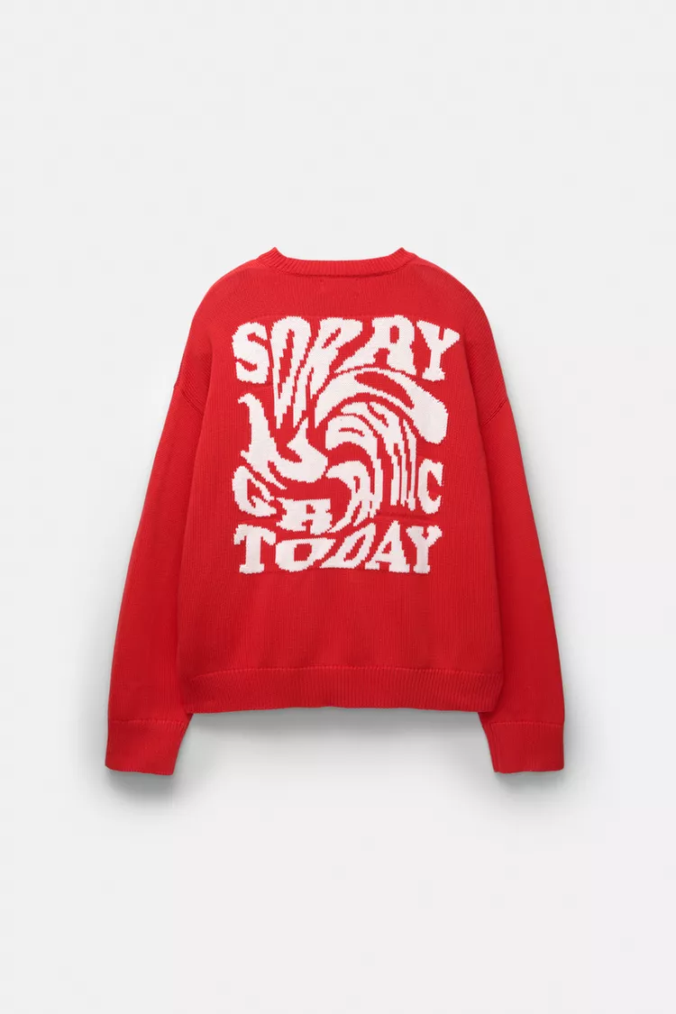  STWD sweater with a graphic on the back 