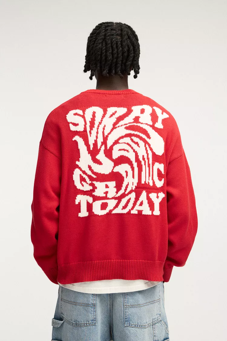  STWD sweater with a graphic on the back 