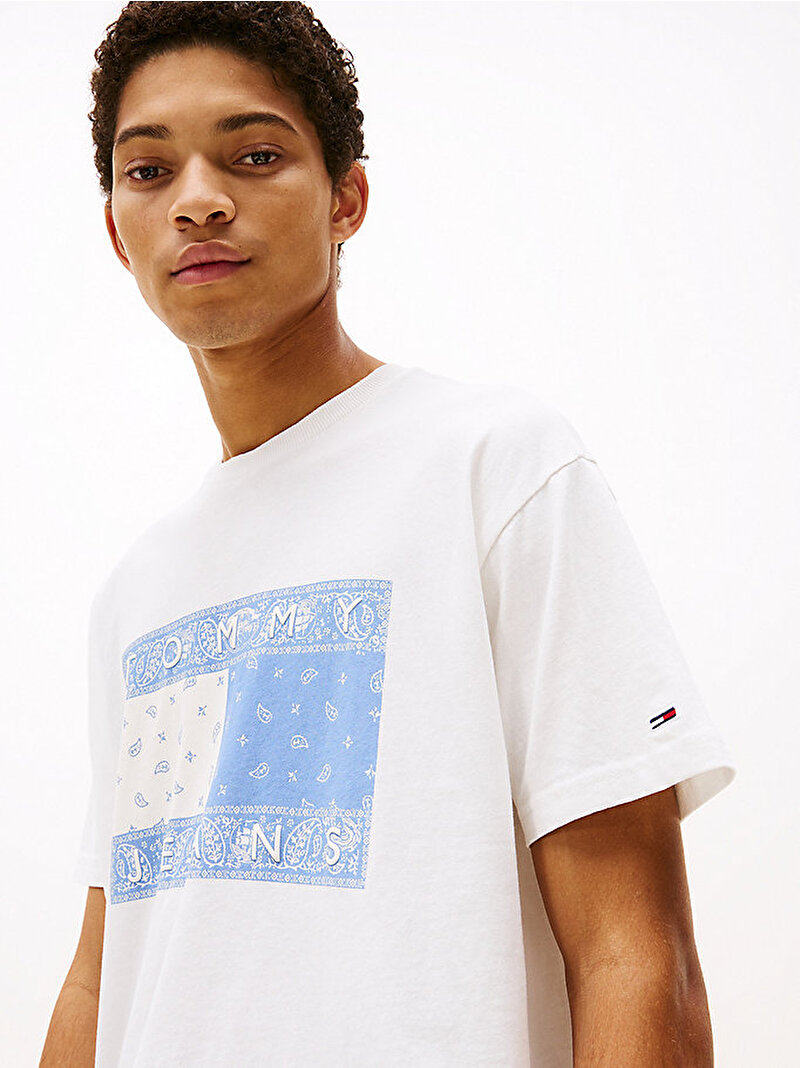 men's tjm reg paisley flag t-shirt