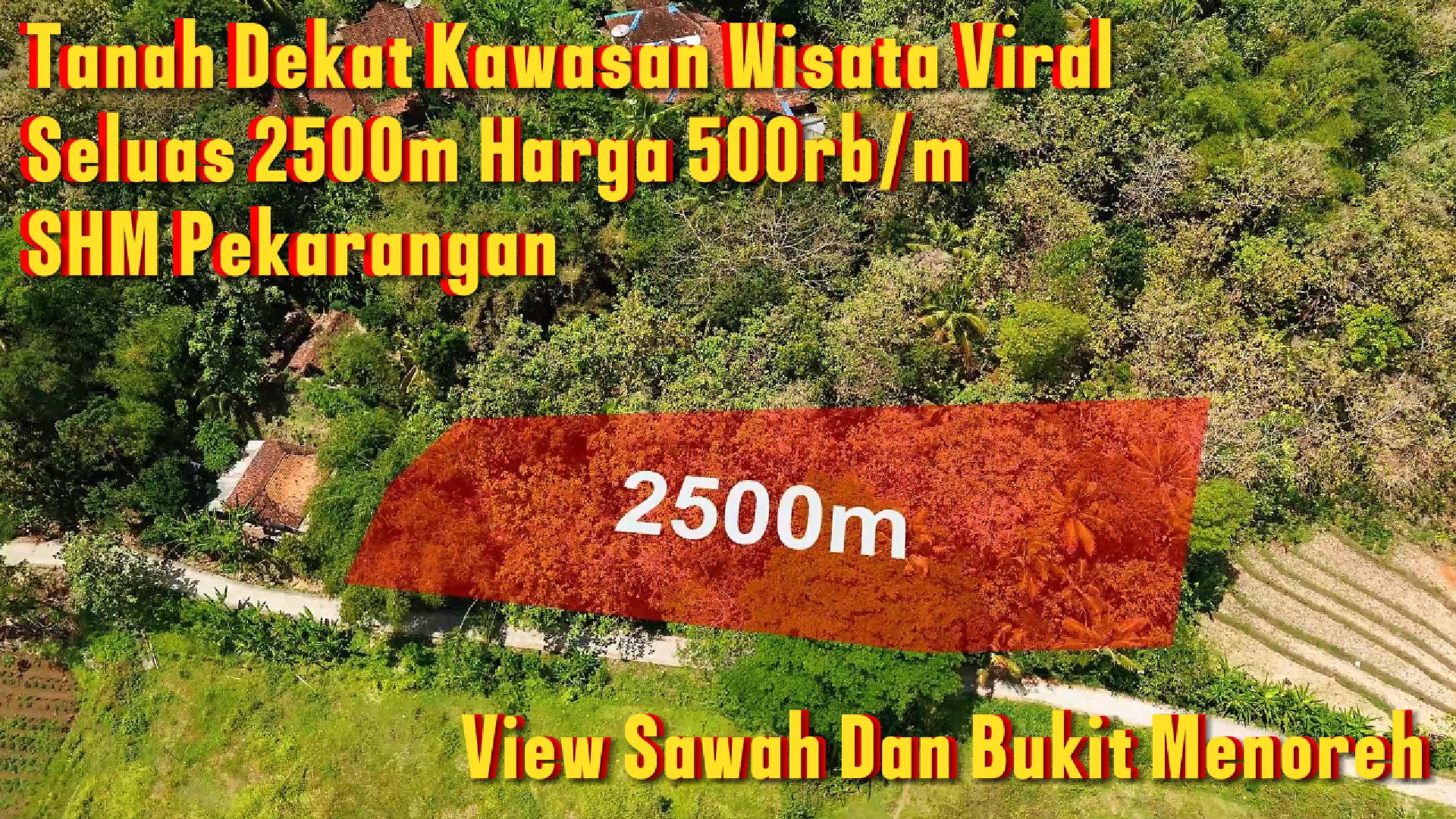 DL-053 (SOLD) Tanah Seluas 2500m² Harga 500rb/m SHM Pekarangan Dekat Dengan Wisata Viral Di Jogja