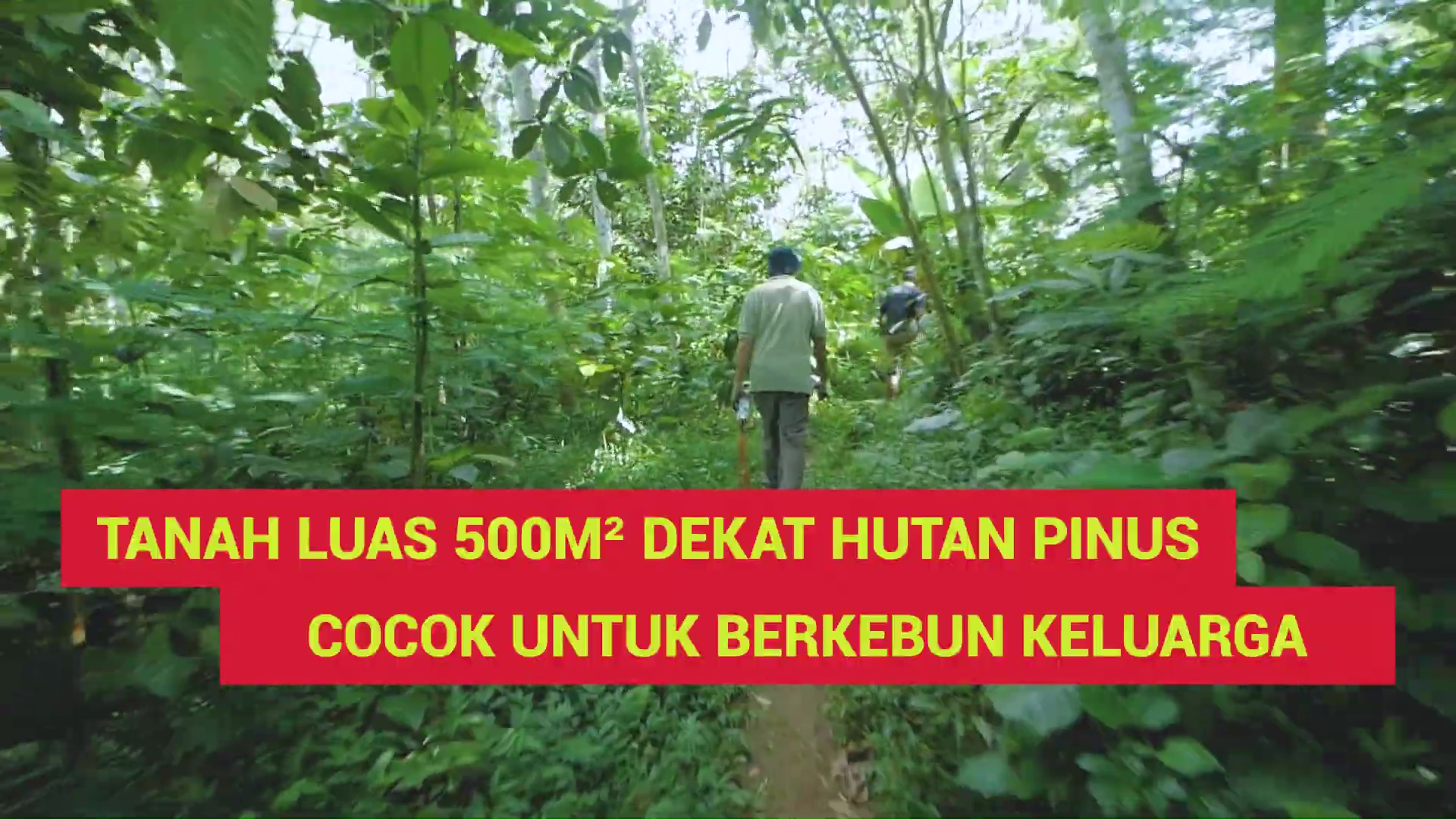 DL-005 Tanah Murah Hanya 60 Juta! Dekat Wisata Hutan Pinus Jogja, Cocok Untuk Berkebun Keluarga
