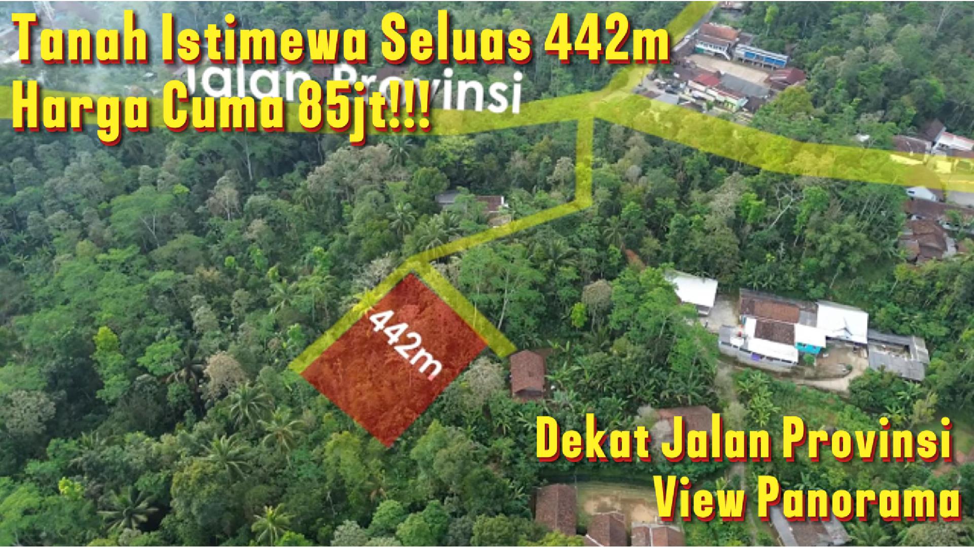 DL-013 Jual Tanah Istimewa Dekat Jalan Provinsi Luas 442m² Dengan Harga 85jt!!!