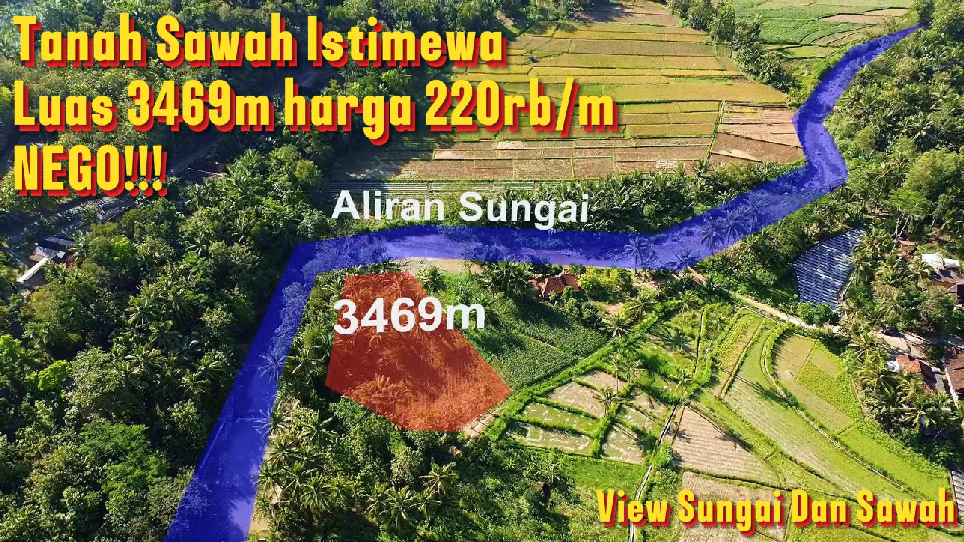 DL-025 Jual Tanah Sawah Istimewa Luas 3469m² Hanya 220rb/m NEGO!!! View Sungai dan Sawah