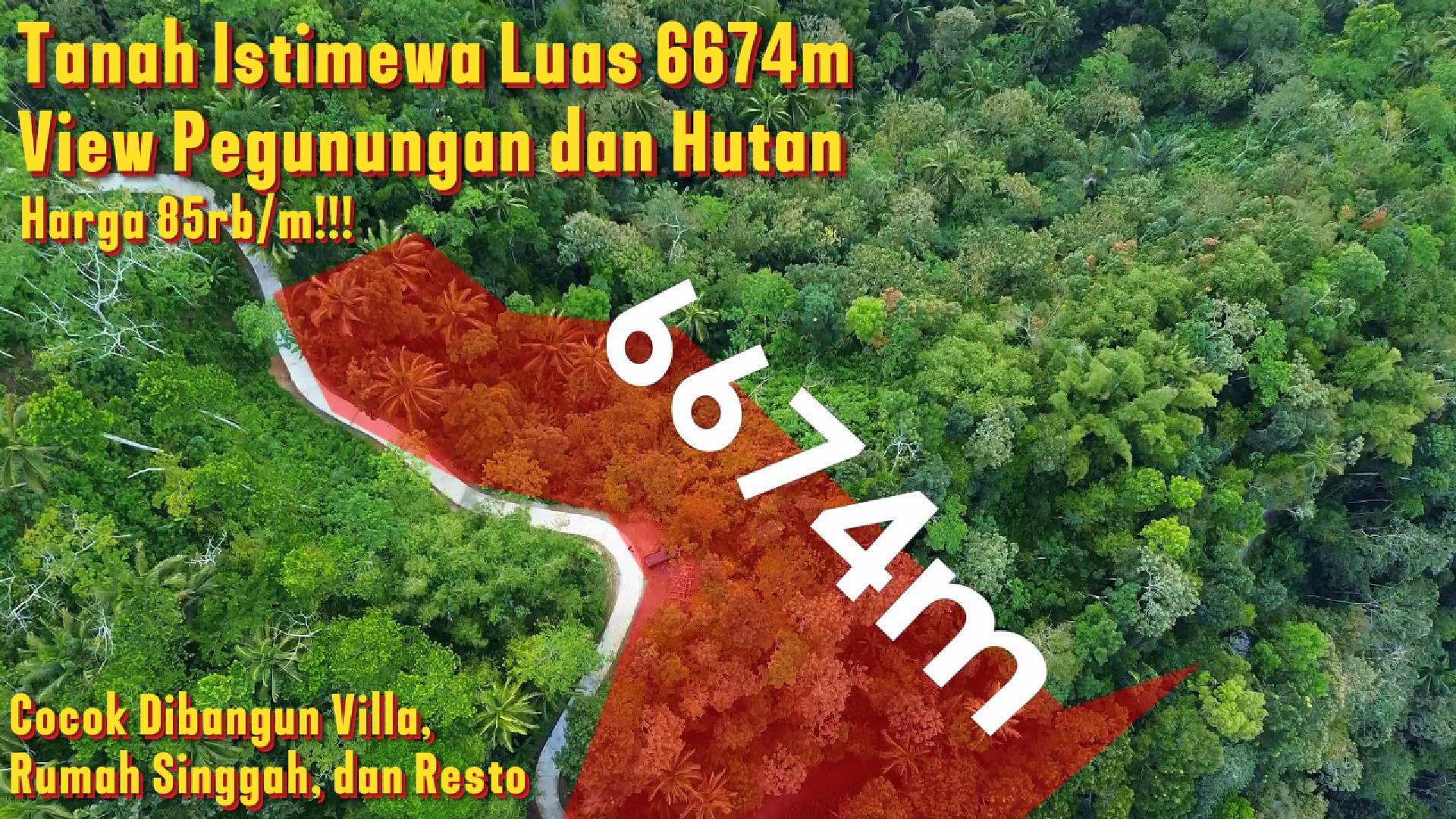 DL-017 (SOLD) Jual Tanah Istimewa Di Kebonharjo Seluas 6674m² MURAH!! Cuma 85rb/m View Pegunungan Dan Sejuk