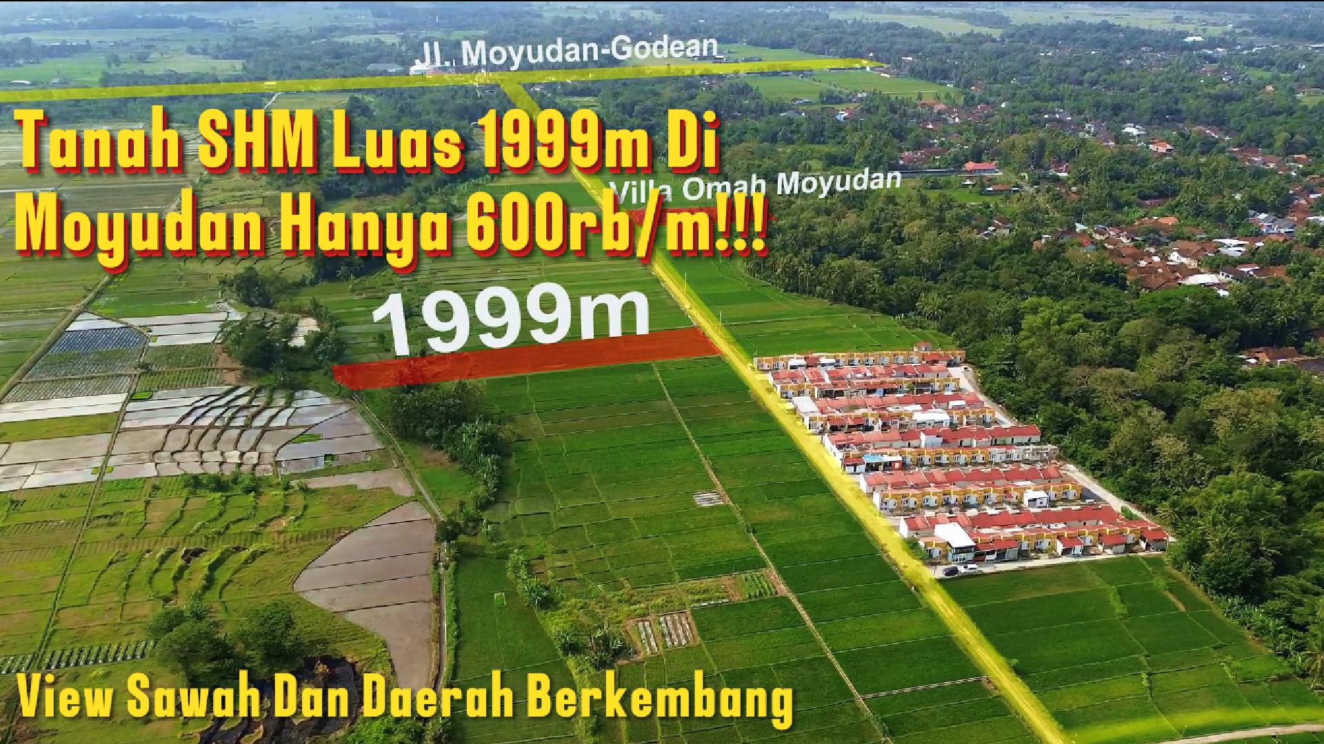 DL-033 Jual Tanah SHM Di Moyudan Luas 1999m² Harga 600rb/m View Sawah Dekat Jalan Godean