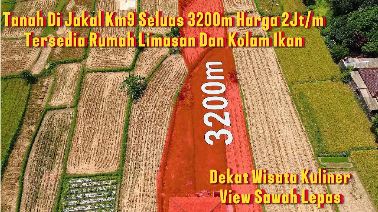 DL-062 Jual Tanah Di Jakal Km9 Seluas 3200m² Harga 2Juta/m Tersedia Rumah Limasan Siap Huni dan Kolam Ikan