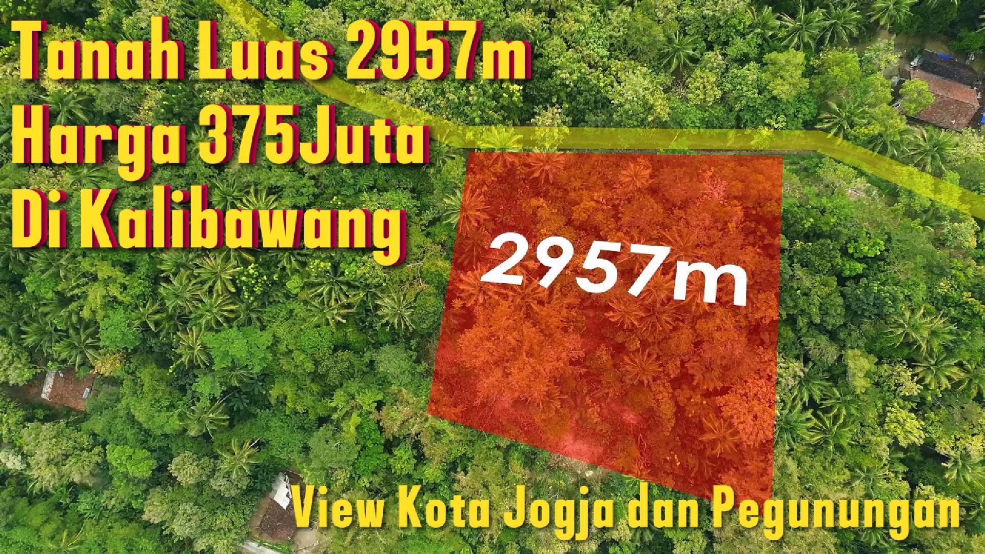 DL-004 Jual Tanah Seluas 2957m² Di Kalibawang Harga Hanya 375Juta!! View Kota Jogja Dan Pegunungan