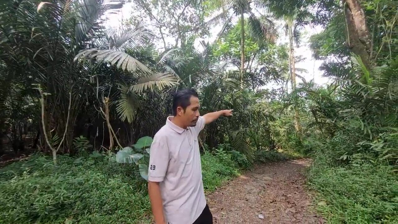 DL-024 Tanah SHM Istimewa 6734 m2 Harga 125rb/meter, di Turi Sleman, Cocok untuk Kebun Organik