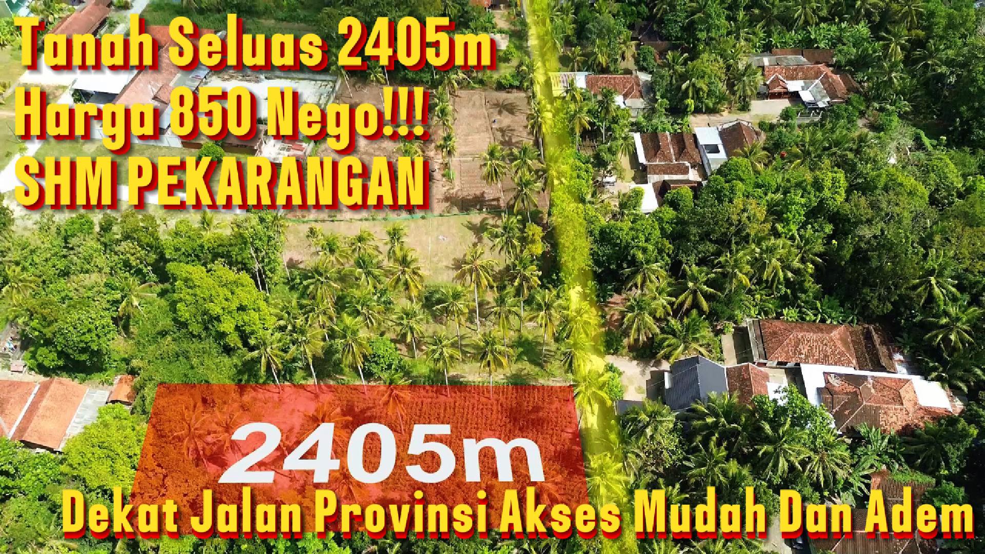 DL-027 Jual Tanah Keren Seluas 2405m² Harga 850rb/m Dekat Jalan Provinsi Dan Bandara