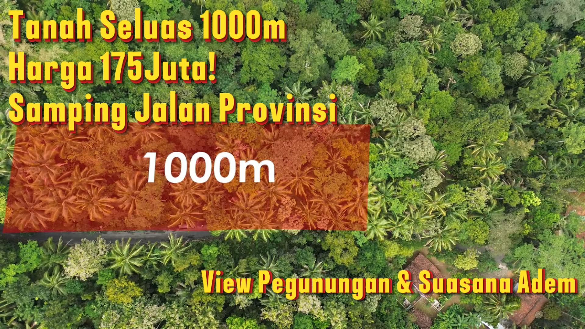 DL-011 Jual Tanah Di Kaligesing Seluas 1000m Harga 175Juta! Samping Jalan Provinsi View Pegunungan