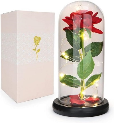 Enchanted Rose LED Light