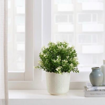 Decorative Plant Pot