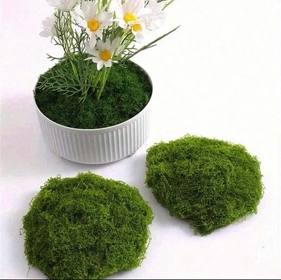 Artificial Decorative Moss
