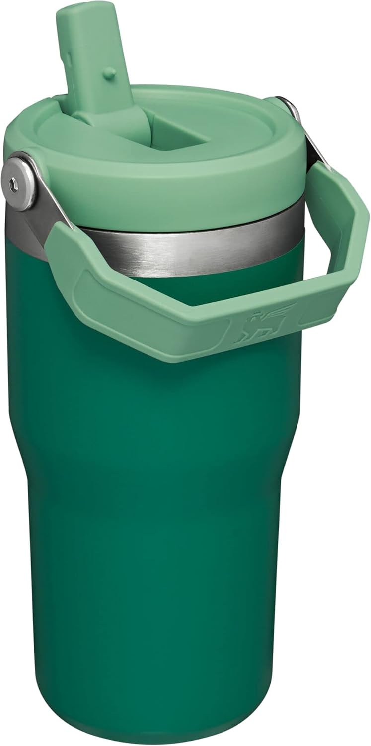 NEW Stanley IceFlow Flip Straw Tumbler with Handle 20 oz | Twist On Lid and Flip Up Straw | Leak Resistant Water Bottle | Insulated Stainless Steel |BPA-Free | Alpine
