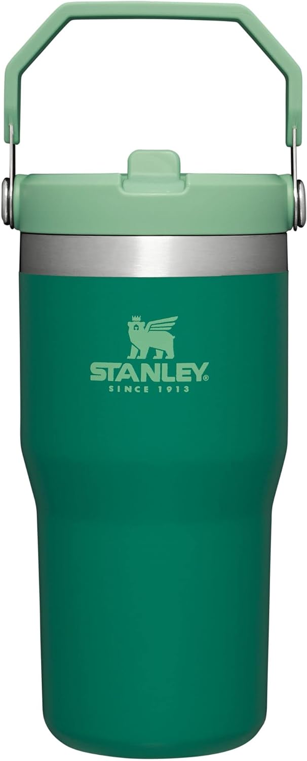 NEW Stanley IceFlow Flip Straw Tumbler with Handle 20 oz | Twist On Lid and Flip Up Straw | Leak Resistant Water Bottle | Insulated Stainless Steel |BPA-Free | Alpine