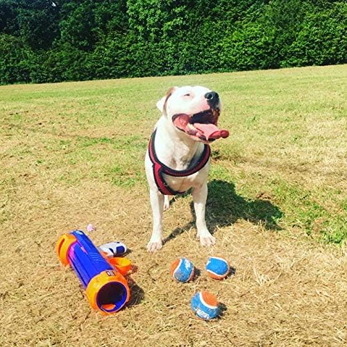 NEW Nerf Dog Tennis Ball Blaster Dog Toy Blue/Orange, 16 Inch Compact Blaster with 1 Ball