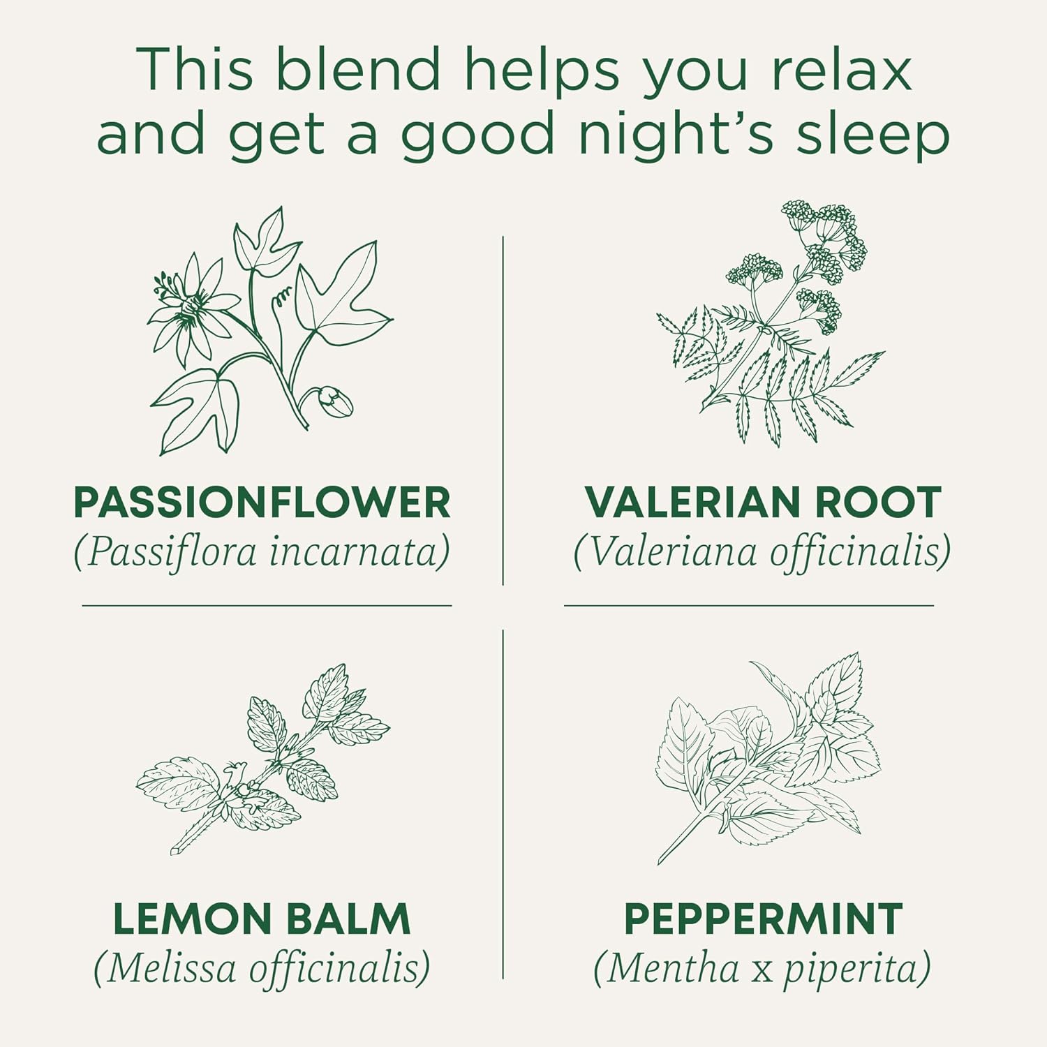 Traditional Medicinals Organic Nighty Night Extra Tea With Valerian Root for Relaxation, 16 Tea Bags (Pack of 1)