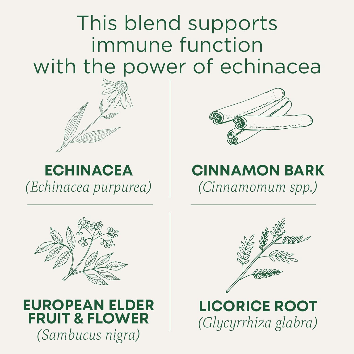 Traditional Medicinals Tea, Organic Immune Zoom Elderberry Echinacea, Supports Immune Function, 16 Tea Bags