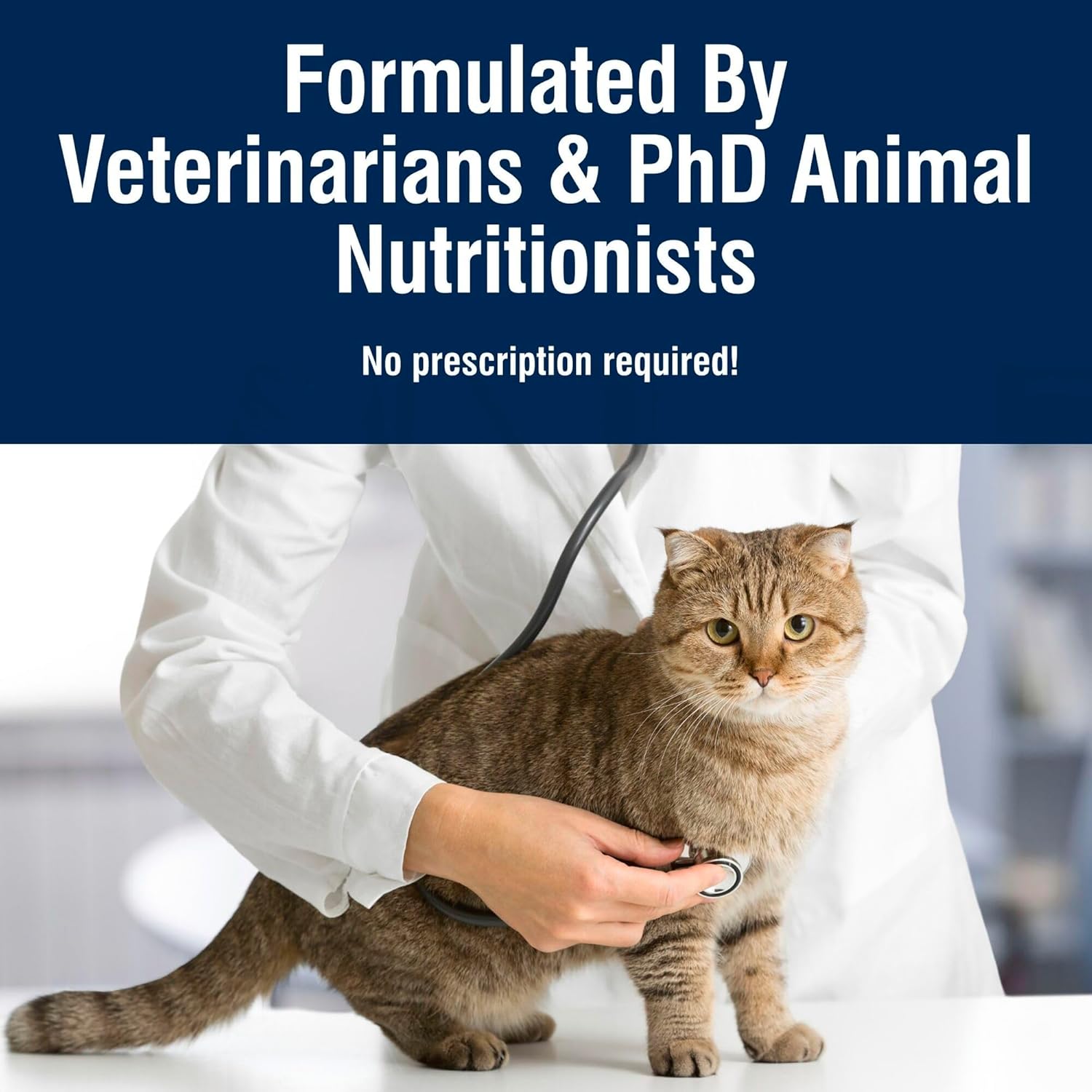 Blue Buffalo True Solutions Digestive Care Natural Dry Cat Food for Adult Cats, Chicken, 3.5-lb. Bag