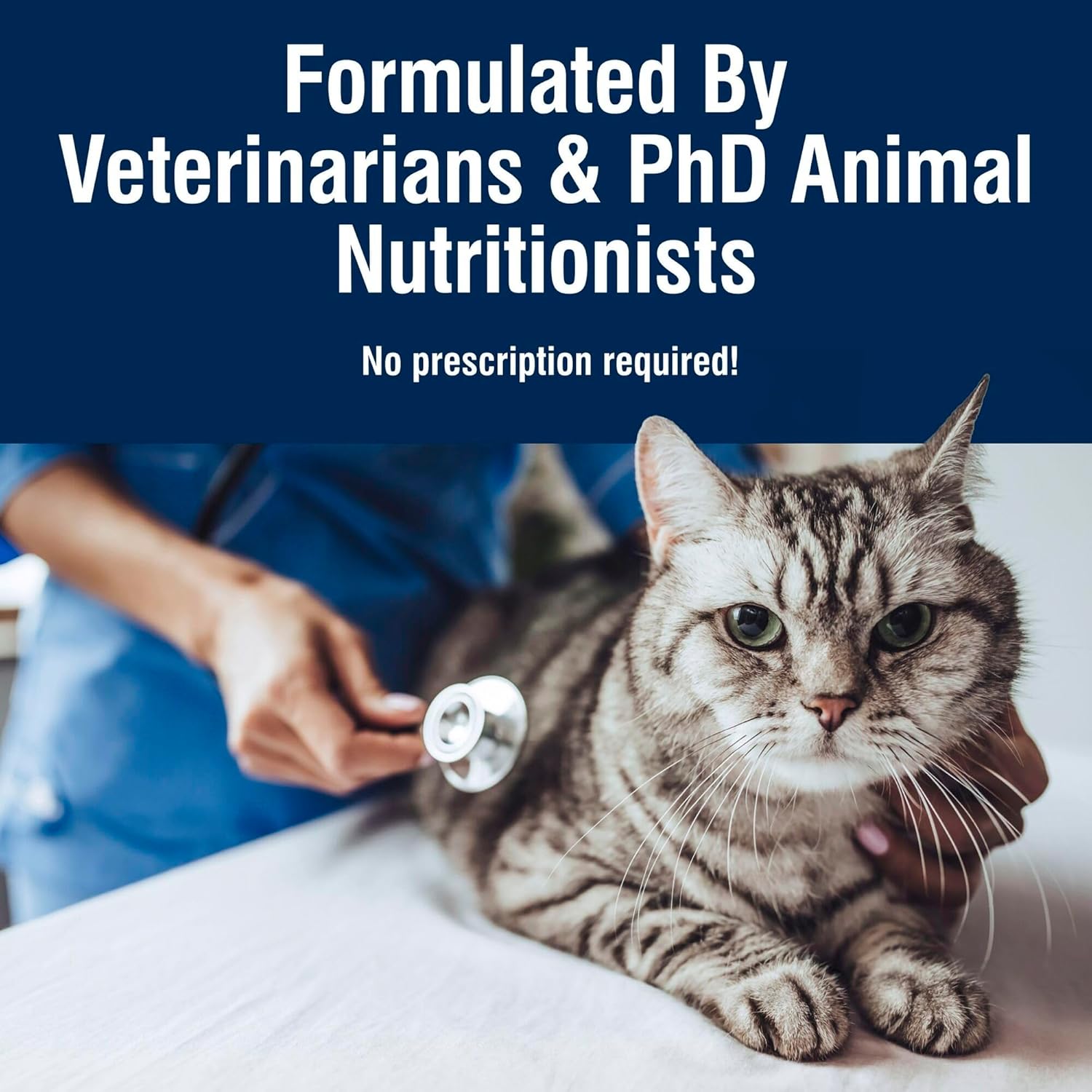 Blue Buffalo True Solutions Digestive Care Wet Cat Food for Adult Cats, Made with Natural Ingredients, Chicken, 3-oz. Cans (24 Count)