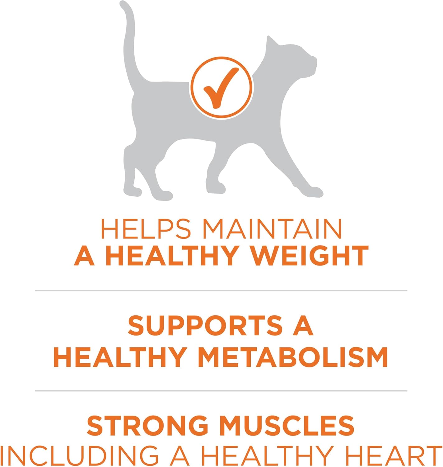 Purina ONE High Protein, Healthy Weight Plus Ideal Weight With Chicken Dry Cat Food Weight Control Formula - 16 lb. Bag