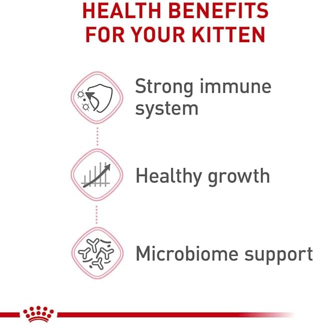 Royal Canin Feline Health Nutrition Dry Kitten Food, Supports Digestive Health, Immune Support and Healthy Energy, 3 lb Bag