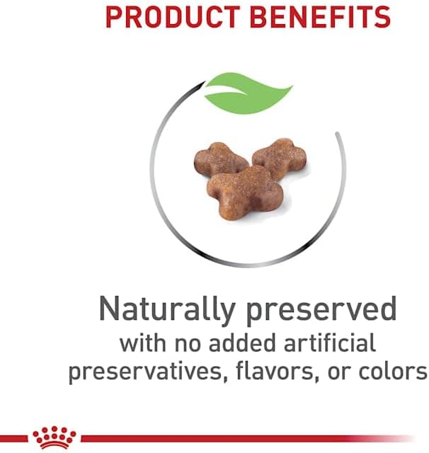 Royal Canin Feline Health Nutrition Dry Kitten Food, Supports Digestive Health, Immune Support and Healthy Energy, 3 lb Bag