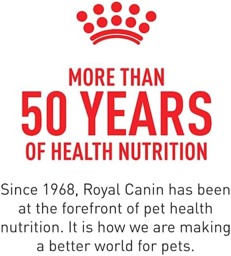 Royal Canin Feline Health Nutrition Dry Kitten Food, Supports Digestive Health, Immune Support and Healthy Energy, 3 lb Bag