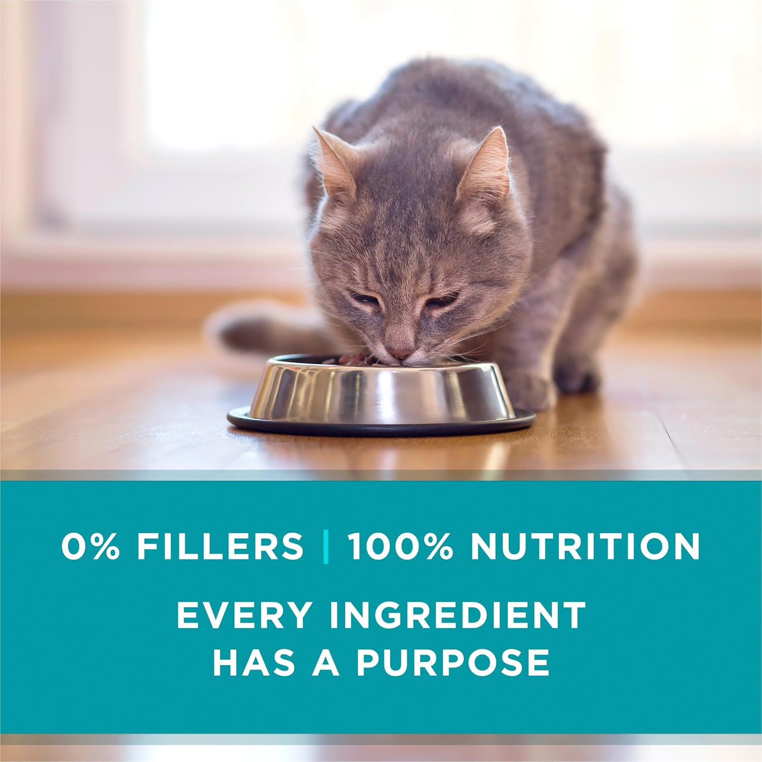 Purina ONE Grain Free, Natural Pate Wet Cat Food Variety Pack, Beef, Chicken and Ocean Whitefish Recipes - (2 Packs of 12) 3 oz. Pull-Top Cans