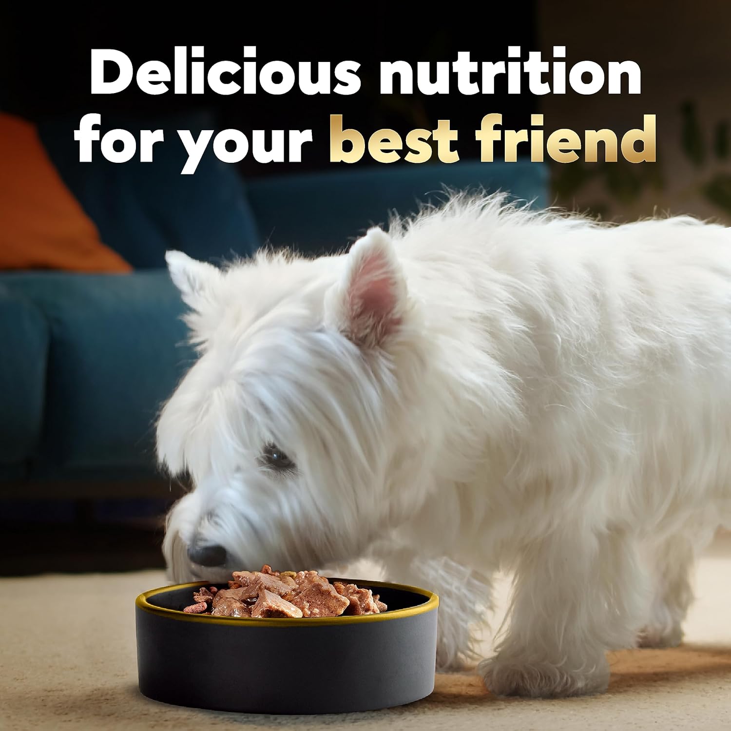 CESAR Adult Wet Dog Food Loaf in Sauce Rotisserie Chicken, Filet Mignon, Angus Beef, and Ham & Egg Flavors Variety Pack, 3.5 oz. Easy Peel Trays, Pack of 24