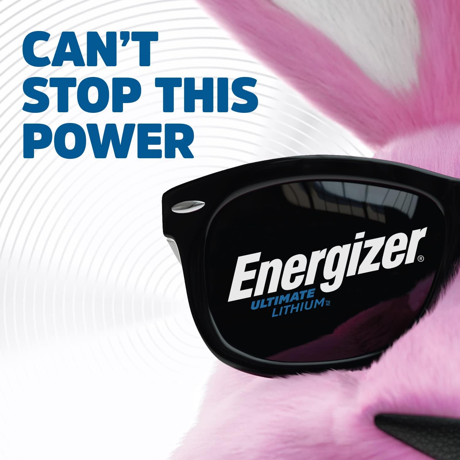 Energizer AA Batteries, Ultimate Double A Battery Lithium, 12 Count