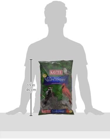 Kaytee Wild Bird Black Oil Sunflower Food, 5 Pounds