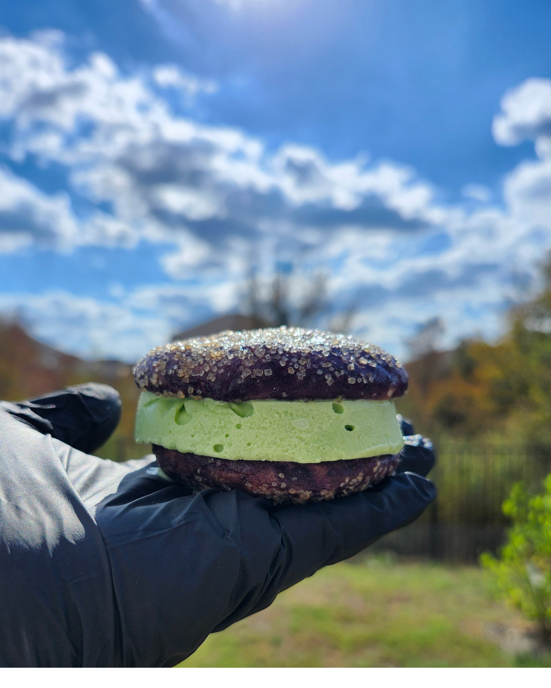 Ube x Pandan Ice Cream Sammie