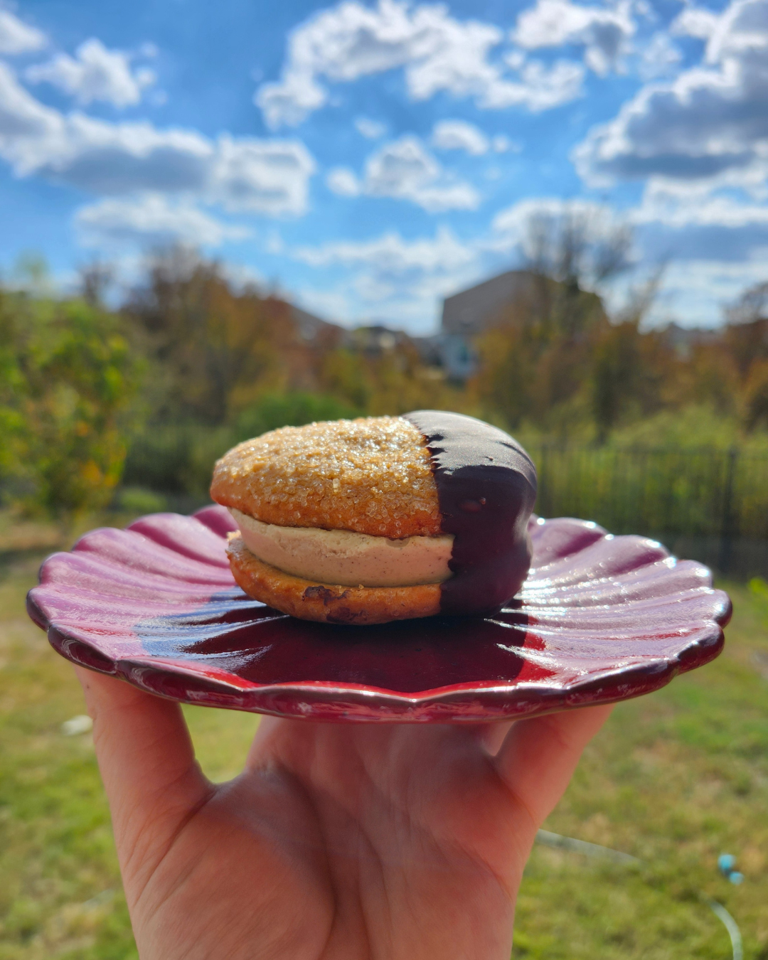 Sweet Potato x 5 Spice Sammie Dipped in Chocolate