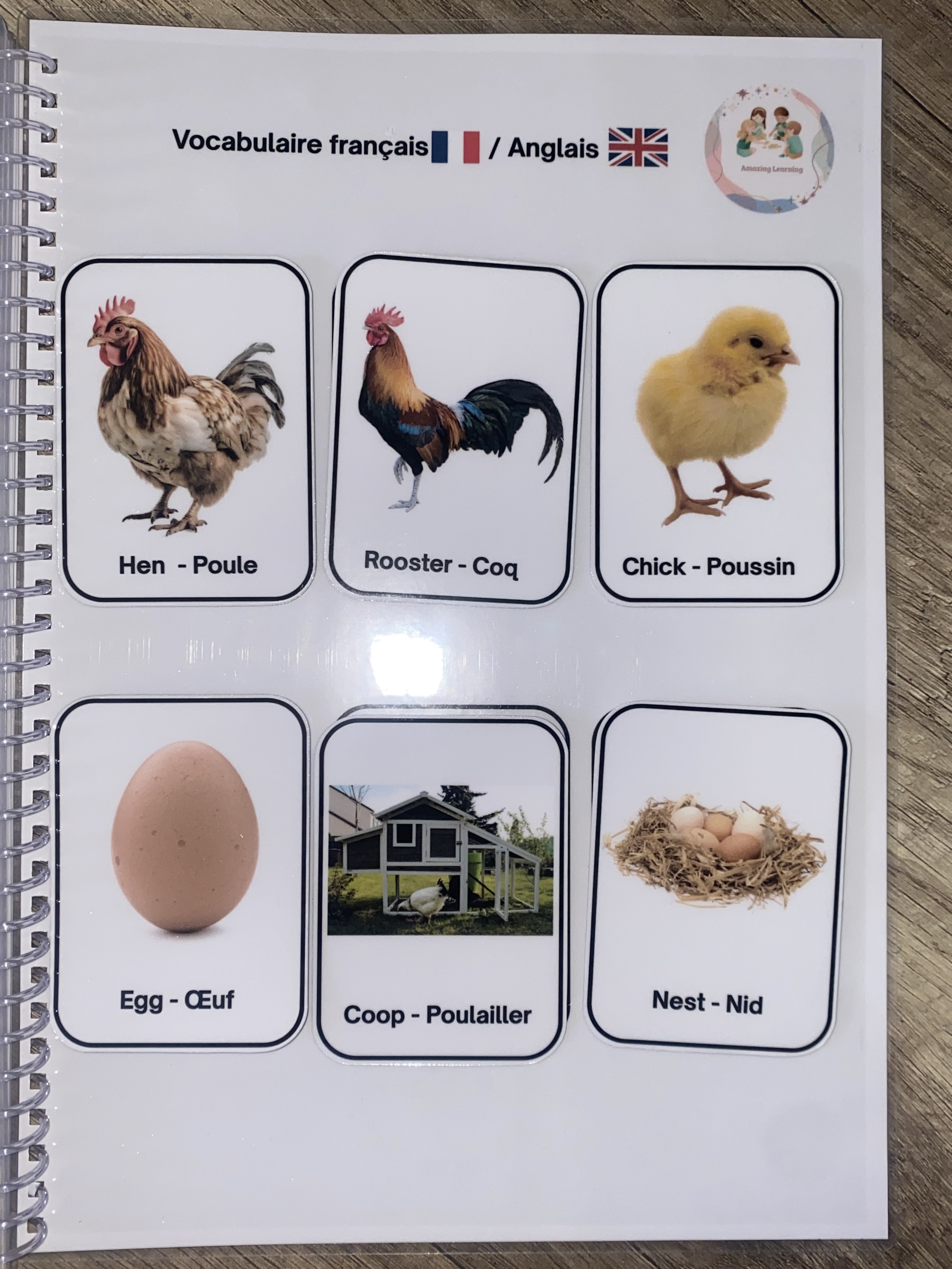 Tout sur les poules 