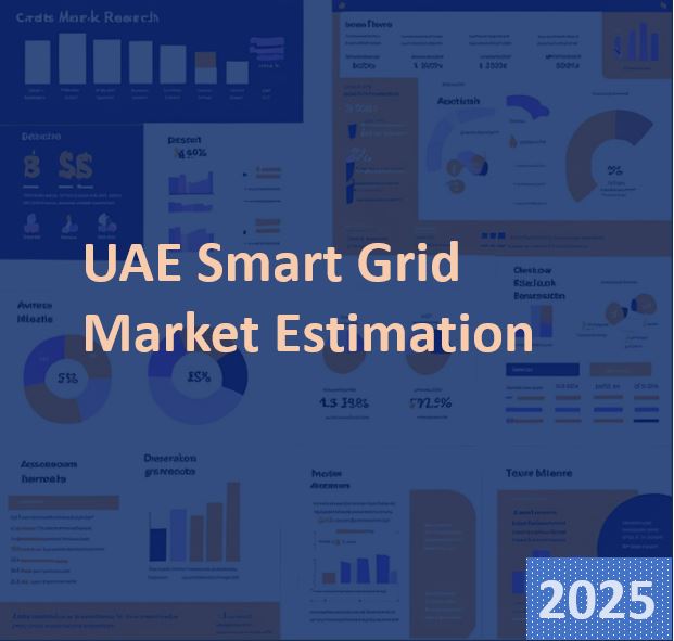 UAE Smart Grid Market Estimation, 2025-2033
