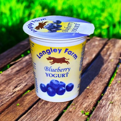 Longley Yogurt Blueberry