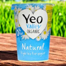 Organic Low Fat Natural Yoghurt 454g