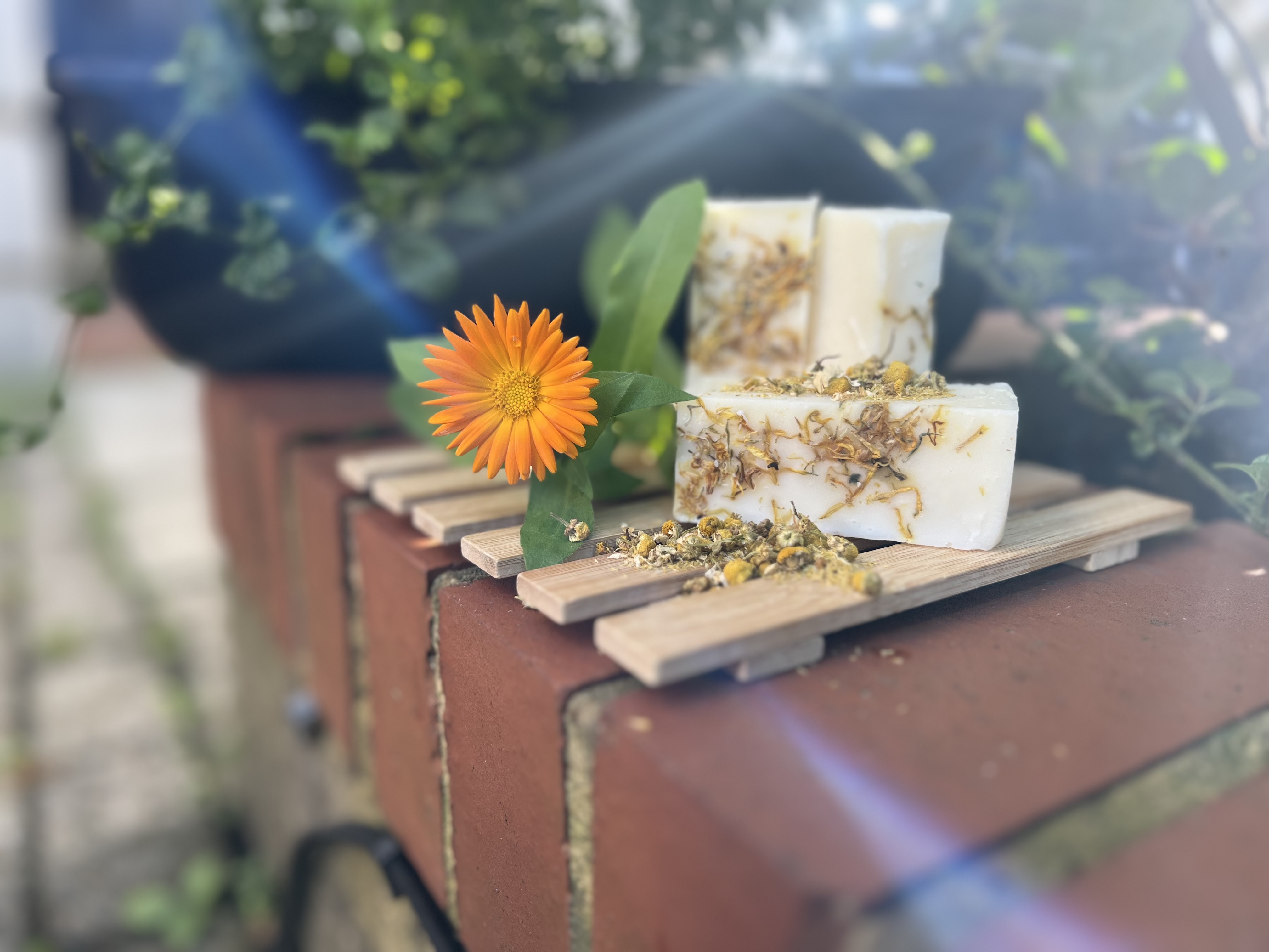Calendula and Chamomile Soap