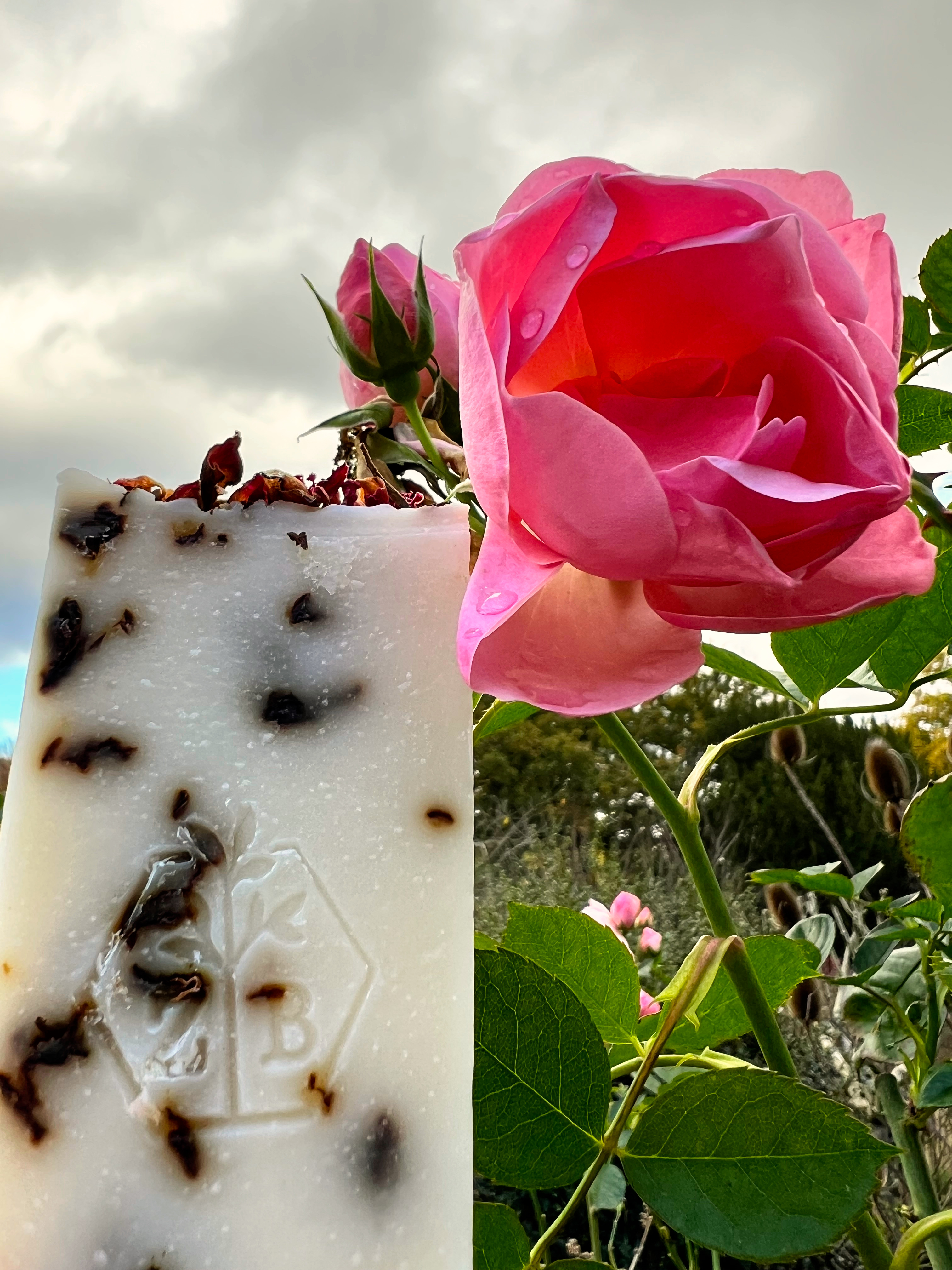 Rose Soap