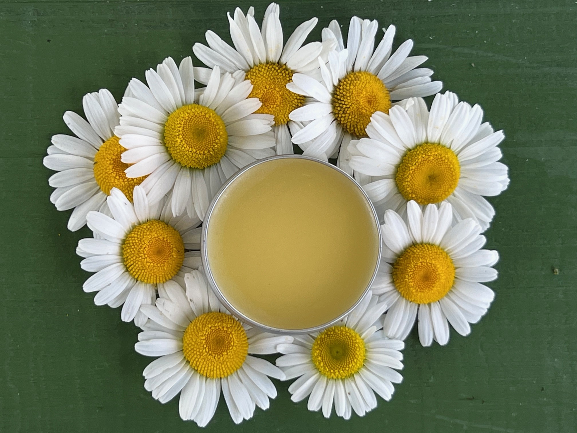 Luxurious Organic Lip Balm